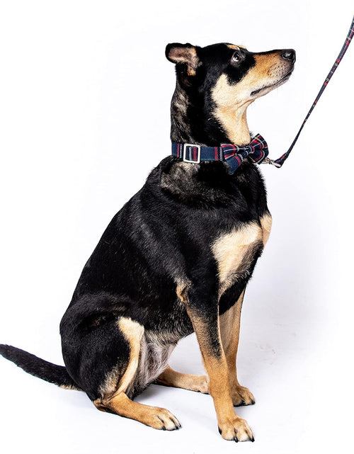 Load image into Gallery viewer, Scottish Tartan Bowtie Dog Collar &amp; Leash Set with Detachable Bow Tie for Girl or Boy Dogs Comfortable Plaid Pattern, Fully Adjustable, Great Pet Gift
