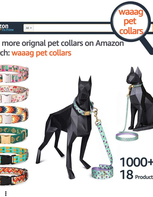 Load image into Gallery viewer, Pet Supplies, (Summer Blooms) Cat Collar, Dog Collar, Cat Leash, Dog Leash, Small Dog Collar, Medium Dog Collar, Large Dog Collar
