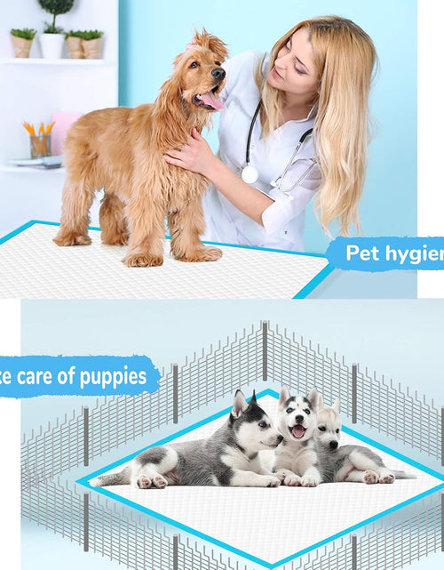 Load image into Gallery viewer, Dog Pee Pad, Puppy Potty Training Pet Pads Dog Pads Extra Large Disposable Super Absorbent &amp; Leak-Free Pee Pads 28&quot;X34&quot;
