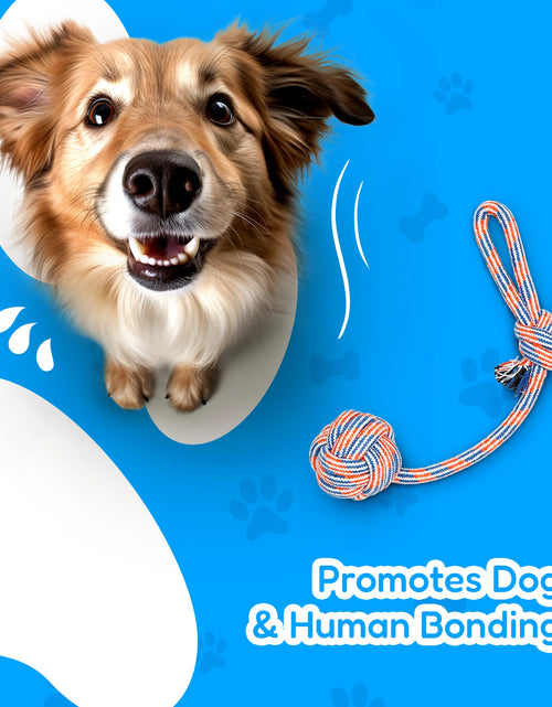 Load image into Gallery viewer, Dog Toy Pack of 4 Large Dog Toys for Aggressive Chewers - Dog Ropes &amp; Ball
