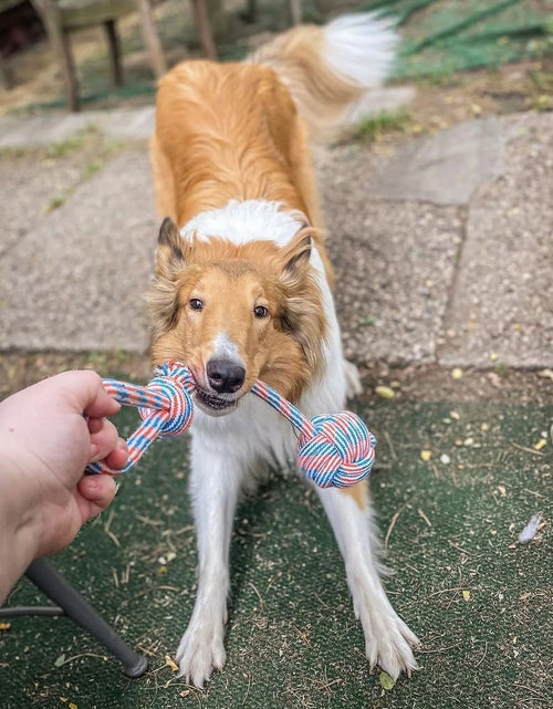 Load image into Gallery viewer, Dog Toy Pack of 4 Large Dog Toys for Aggressive Chewers - Dog Ropes &amp; Ball
