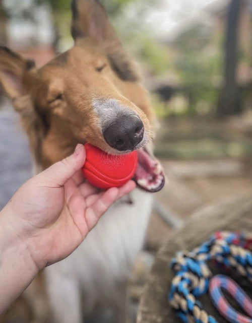 Load image into Gallery viewer, Dog Toy Pack of 4 Large Dog Toys for Aggressive Chewers - Dog Ropes &amp; Ball
