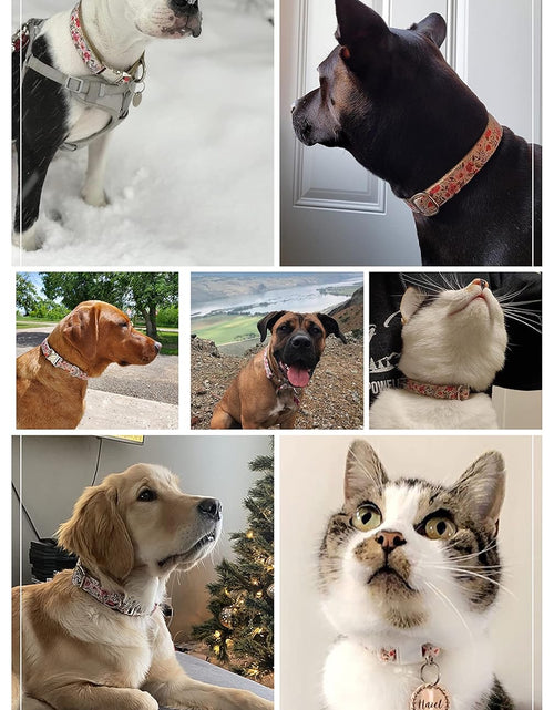 Load image into Gallery viewer, Pet Supplies, (Summer Blooms) Cat Collar, Dog Collar, Cat Leash, Dog Leash, Small Dog Collar, Medium Dog Collar, Large Dog Collar
